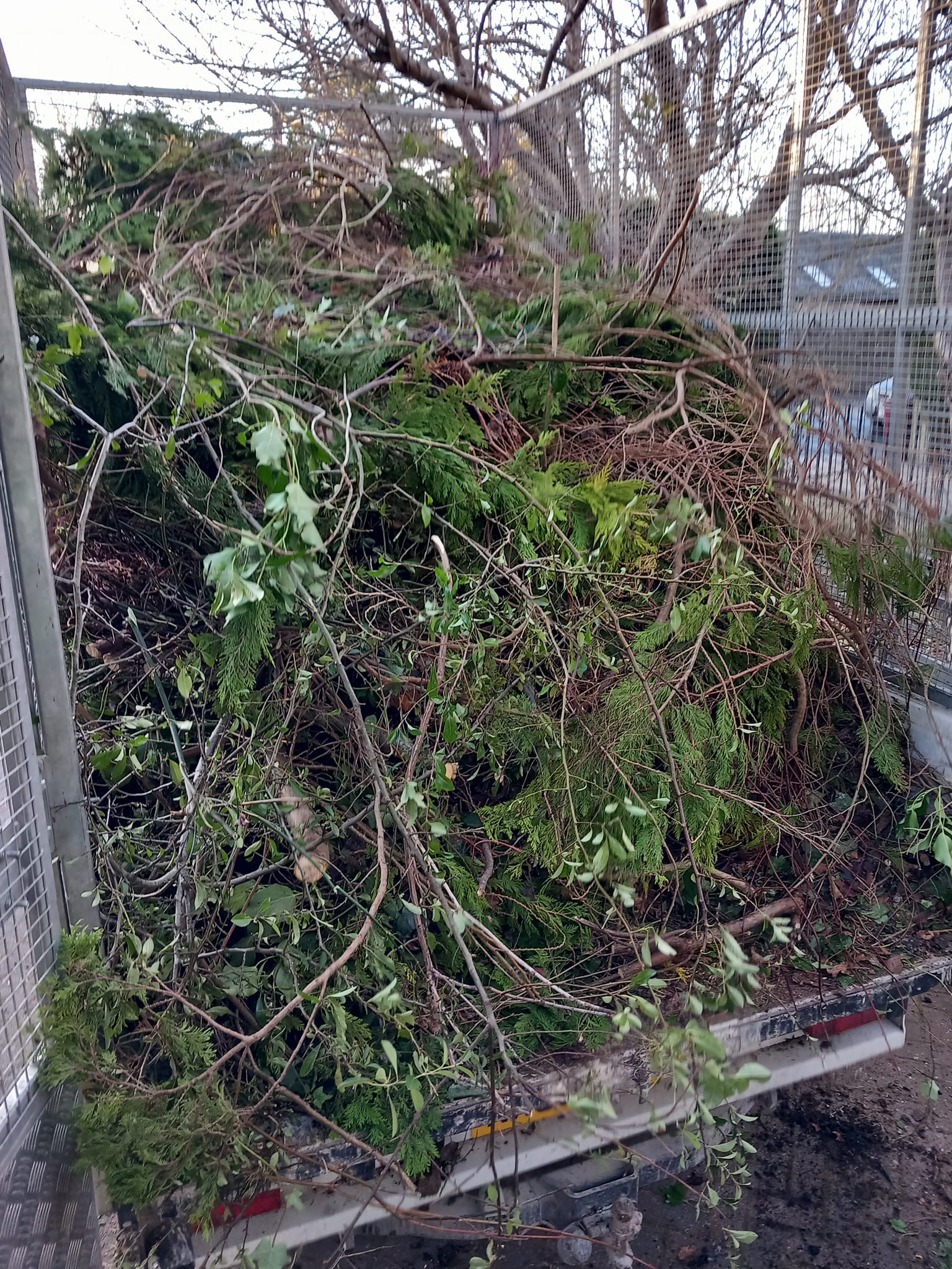 farm clearances